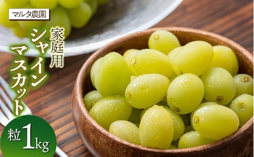 【令和8年3月13日まで発送】 家庭用 シャインマスカット 粒 1kg マルタ農園