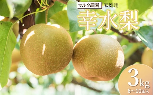 【令和8年産 先行予約】家庭用 幸水梨 3kg (6～10玉) マルタ農園