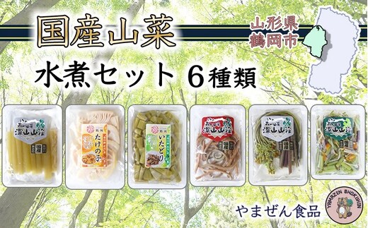 国産山菜 水煮セット A01-753 