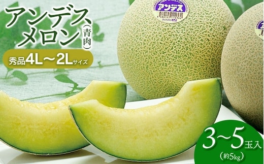 【令和8年産先行予約】 アンデスメロン (3～5玉) 秀品 4L～2L K-839 鶴岡市農業協同組合