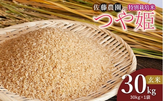 【令和8年産先行予約】特別栽培米つや姫 玄米 30kg(30kg×1袋) 山形県鶴岡市 佐藤農園