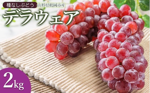【令和8年産先行予約】鶴岡市産ぶどう デラウェア 約2kg (10～16房) K-834 JA庄内たがわ