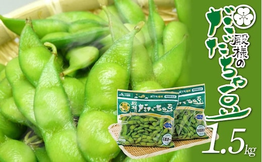 【令和8年産先行予約】JA鶴岡 殿様のだだちゃ豆 1.5kg(250g×6袋) 鶴岡市農業協同組合 K-831