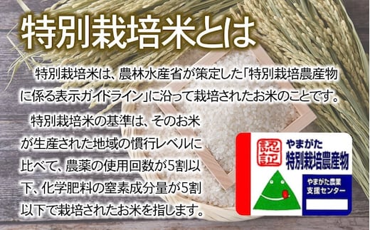 令和7年産先行予約】 特別栽培米はえぬき 10kg (5kg×2袋)×