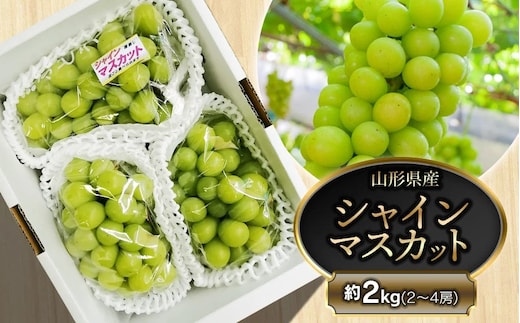 【令和8年産先行予約】鶴岡市産 シャインマスカット 約2kg（2～4房） 齋藤農園（齋藤 英喜）