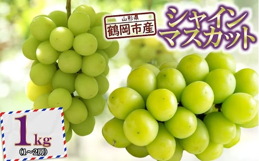 【令和8年産先行予約】 鶴岡市産ぶどうシャインマスカット 約1kg(1～2房) K-835 JA庄内たがわ 