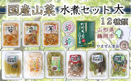 国産山菜水煮セット（大）B01-451