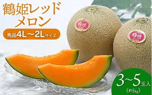 【令和8年産先行予約】鶴姫レッドメロン（3～5玉） 秀品 4L～2L K-843 鶴岡市農業協同組合 赤肉メロン
