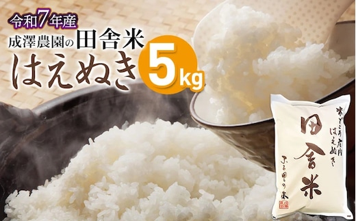 【令和7年産】【新米】 成澤農園の田舎米(はえぬき) 5kg 山形県鶴岡市産 K-743