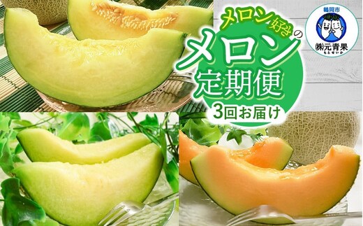 【令和8年産先行予約】 メロン好きのメロン定期便 【3回お届け】 山形県鶴岡市産 株式会社 元青果