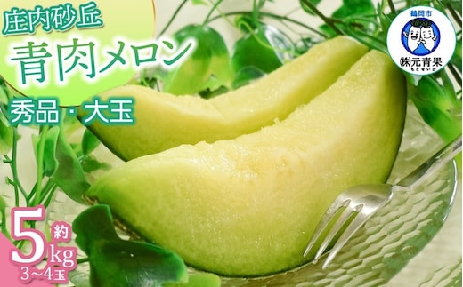 【令和8年産先行予約】 庄内砂丘青肉メロン 秀品 大玉 約5kg (3～4玉) 山形県鶴岡市産 株式会社 元青果