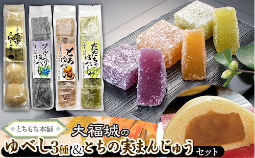 とちもち本舗 大福城のゆべし・とちの実まんじゅうセット A06-510