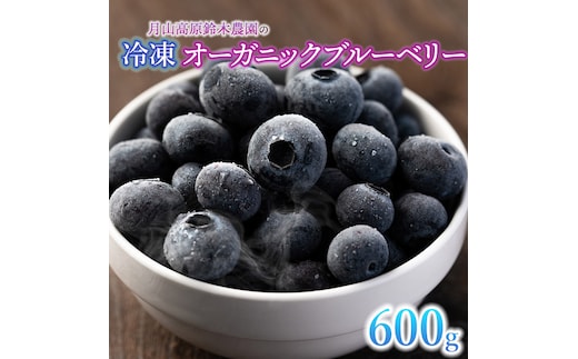 【令和8年産先行予約】【冷凍】月山高原のオーガニックブルーベリー(大粒・600g) K-845