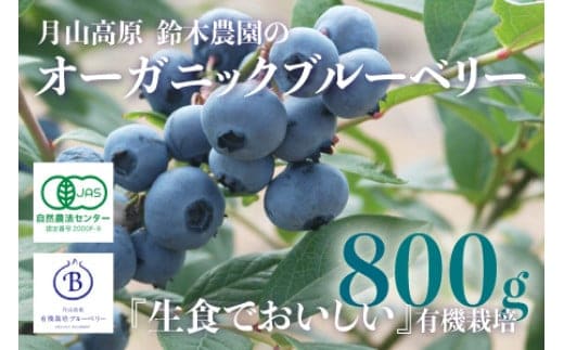 【令和8年産先行予約】月山高原のオーガニックブルーベリー(大粒・800g) K-855