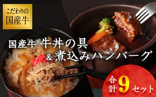 【45営業日以内配送】国産牛 牛丼の具&煮込みハンバーグ 満足の9個セット 《こだわりソースと玉ねぎが旨い簡単惣菜》 湯煎で温めるだけ 014-D-YL008