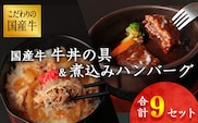 【45営業日以内配送】国産牛 牛丼の具&煮込みハンバーグ 満足の9個セット 《こだわりソースと玉ねぎが旨い簡単惣菜》 湯煎で温めるだけ　014-D-YL008