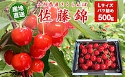【先行予約】令和8年産 山形県産 こだわり農家の新鮮 さくらんぼ 500g Lサイズ 秀品「佐藤錦」 生産者直送 【2026年5月下旬頃から6月中旬頃発送予定】※ 配送不可 沖縄・離島　 015-A-JF031