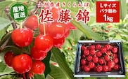 【先行予約】令和8年産 山形県産 こだわり農家の新鮮 さくらんぼ 1kg（500g×2パック） Lサイズ 秀品「佐藤錦」 生産者直送 【2026年5月下旬頃から6月中旬頃発送予定】※ 配送不可 沖縄・離島　026-A-JF032