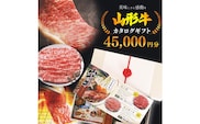 【選べるお肉】黒毛和牛「山形牛」カタログギフト券 45,000円分（寄付金額15万円）《 牛肉 すき焼き すきやき しゃぶしゃぶ ステーキ 焼肉 焼き肉 肩 ロース モモ サーロイン ヒレ カルビ 食べ比べ 東北 山形県 寒河江市 》　150-J-YL032