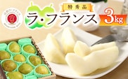 令和7年産 特秀品 「ラ・フランス」 3kg 《GI認証》 化粧箱入り サイズおまかせ 山形産 2025年産 【2025年11月中旬頃から12月末頃発送予定】　012-B-AF005