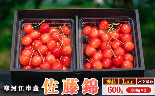 令和8年産 さくらんぼ「 佐藤錦 」600g (300g×2パック) 秀品 Lサイズ以上 2026年産 山形県産 【2026年6月上旬頃～下旬頃発送予定】※配送不可 沖縄・離島 020-A-AF001