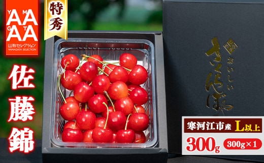 【先行予約】令和8年産 特秀品 さくらんぼ「 佐藤錦 」300g L以上 2026年産 山形県産 【2026年6月上旬頃～下旬頃発送予定】 ※配送不可 沖縄・離島 016-A-AF011