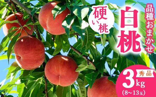 令和8年産 先行予約 有機質肥料栽培 硬めの 白桃 3kg（8～13玉） 秀品 品種おまかせ 山形県産 【2026年8月下旬頃～10月上旬頃発送予定】 016-B-AF025