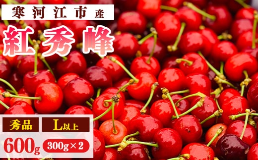 【先行予約】令和8年産 さくらんぼ「 紅秀峰 」600g(300g×2パック) 秀品 L以上 2026年産 山形県産 【2026年6月中旬頃～7月上旬頃発送予定】 ※配送不可 沖縄・離島 017-A-AF026