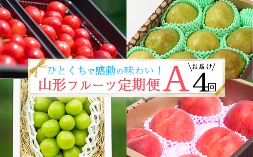 《先行予約》特秀品Aコース【定期便4回】 さくらんぼ 佐藤錦 白桃 シャインマスカット 洋梨 ラフランス 令和8年産 山形県産【2026年6月上旬頃から発送開始予定】※配送不可 沖縄・離島 072-B-AF028