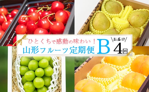 《先行予約》特秀品Bコース【定期便4回】フルーツ定期便 さくらんぼ 紅秀峰 黄桃 シャインマスカット 洋梨 ラネージュ 令和8年産 山形県産【2026年6月中旬頃から発送開始予定】※配送不可 沖縄・離島 078-B-AF029