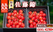 【先行予約】令和8年産 特秀品 さくらんぼ「 佐藤錦 」600g (300g×2パック) Lサイズ以上 2026年産 山形県産 【2026年6月上旬頃～下旬頃発送予定】 ※配送不可 沖縄・離島 026-A-AF002