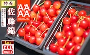【先行予約】【保冷剤入り発泡スチロール梱包】 令和8年産 特秀品 さくらんぼ「 佐藤錦 」600g (300g×2) L以上 2026年産 山形県産 【2026年6月上旬頃～下旬頃発送予定】 ※配送不可 沖縄・離島 028-A-AF012