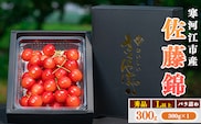 令和8年産 さくらんぼ「 佐藤錦 」300g (300g×1パック) 秀品 Lサイズ以上 2026年産 山形県産 【2026年6月上旬頃～下旬頃発送予定】※配送不可 沖縄・離島　010-A-AF019