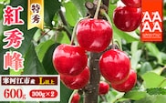 令和8年産 特秀品 さくらんぼ「 紅秀峰 」600g (300g×2パック) L以上 2026年産 山形県産 【2026年6月中旬頃～7月上旬頃発送予定】 ※配送不可 沖縄・離島 023-A-AF027