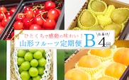 《先行予約》特秀品Bコース【定期便4回】フルーツ定期便 さくらんぼ 紅秀峰 黄桃  シャインマスカット 洋梨 ラネージュ 令和8年産 山形県産【2026年6月中旬頃から発送開始予定】※配送不可 沖縄・離島　078-B-AF029