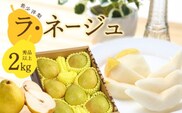 洋梨「ラ・ネージュ」 2kg（5～10玉） 秀品以上 《化粧箱入り》 サイズおまかせ 山形県産 【2025年11月下旬頃から12月下旬頃発送予定】／ 果物 フルーツ くだもの お取り寄せ ご当地 特産 東北 冬 ラネージュ デザート 贈答 山形産 2025年産 令和7年産 2キロ　012-B-AF006
