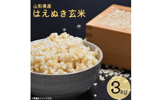 令和8年産 はえぬき 玄米 3kg（3kg×1袋）2026年産 山形県産 【2026年9月下旬頃から順次発送予定】 010-C-CS021