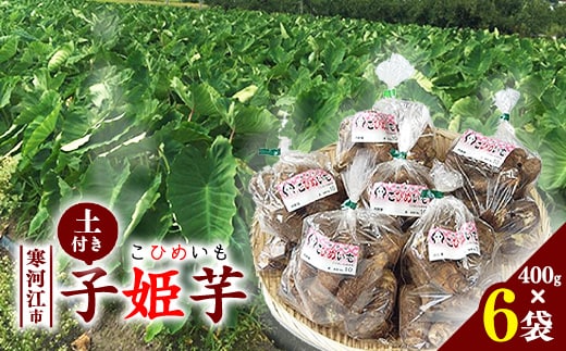 令和8年産 里芋 「子姫芋（こひめいも）土付」2.4kg以上 （400g×6袋） 2026年産 山形県産【2026年9月下旬頃から11月上旬頃配送予定】 016-B-CS001