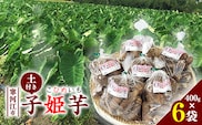 令和8年産 里芋 「子姫芋（こひめいも）土付」2.4kg以上 （400g×6袋） 2026年産 山形県産【2026年9月下旬頃から11月上旬頃配送予定】　016-B-CS001