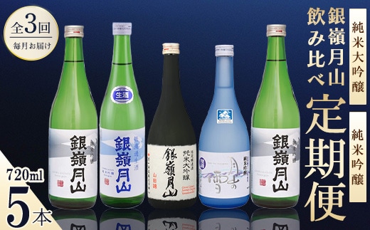 日本酒 定期便 全3回 720ml 計5本 日本酒 純米大吟醸 純米吟醸 銀嶺月山【2026年12月以降発送予定】 036-E-GS024