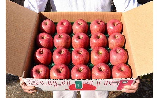 《ご自宅用》りんご「サンふじ」5kg（20玉）山形県産【2025年12月上旬頃～下旬頃発送予定】 012-B-HK007