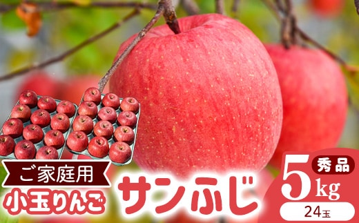 令和8年産 《ご家庭用》小玉 りんご サンふじ 秀品 5kg（24玉） 2026年産 山形県産【2026年12月上旬頃から下旬頃発送予定】 014-B-HK008