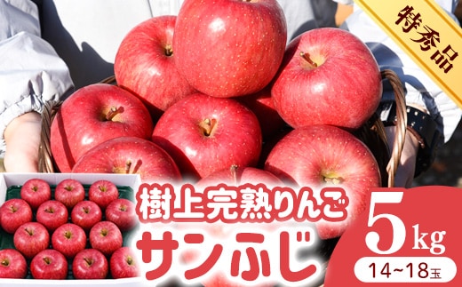 令和8年産 樹上完熟りんご サンふじ 特秀品 5kg（14 - 18玉） 2026年産 山形県産【2026年12月上旬頃から下旬頃発送予定】 032-B-HK010