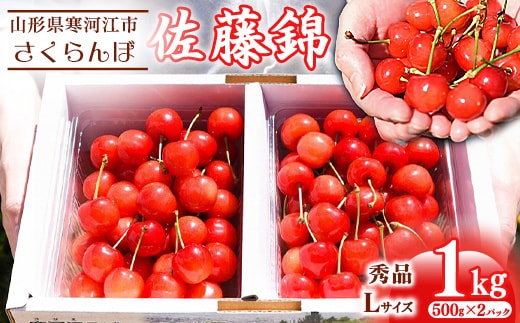 【先行予約】令和8年産 さくらんぼ 「佐藤錦」 1kg（500g×2パック）秀品 Lサイズ以上 2026年産 山形県産 【2026年6月上旬頃～下旬頃発送予定】※ 配送不可 沖縄・離島 034-A-HK016
