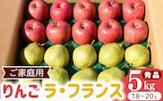 令和8年産 《ご家庭用》りんご と ラ・フランス 秀品 合計 5kg（18 - 20玉） 2026年産 山形県産【2026年12月上旬頃から下旬頃発送予定】　014-B-HK005