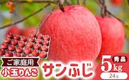 令和8年産 《ご家庭用》小玉 りんご サンふじ 秀品 5kg（24玉） 2026年産 山形県産【2026年12月上旬頃から下旬頃発送予定】　014-B-HK008