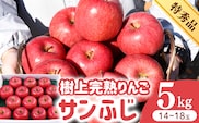 令和8年産 樹上完熟りんご サンふじ 特秀品 5kg（14 - 18玉） 2026年産 山形県産【2026年12月上旬頃から下旬頃発送予定】　032-B-HK010