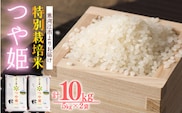 【特別栽培米】山形県産 つや姫 10kg（5kg×2袋） 令和7年産 ／ 2025年産 白米 精米 お米 米 小分け ブランド米 ごはん 東北 国産 10キロ 山形県寒河江市　036-C-JA023-00