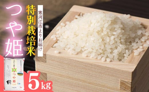 【特別栽培米】新米 山形県産 つや姫 5kg 令和7年産 ／ 2025年産 白米 精米 お米 米 小分け ブランド米 ごはん 東北 国産 5キロ 山形県寒河江市 018-C-JA032-00