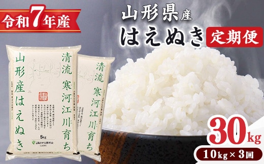＜ 2026年2月中旬より毎月3回 ＞【令和7年産 定期便】はえぬき計30kg！お米 定期便（10kg×3回）！清流寒河江川育ち 山形産はえぬき 2025年産 098-C-JA012-202602毎